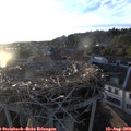 19_50-nest.jpg