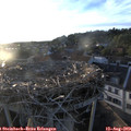 19_55-nest.jpg