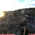 20_15-nest.jpg