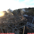 20_20-nest.jpg