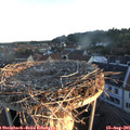 06_25-nest.jpg