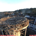06_30-nest.jpg