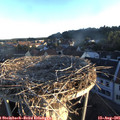 06_40-nest.jpg