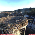 06_45-nest.jpg