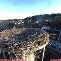 06_50-nest.jpg