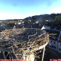 06_55-nest.jpg