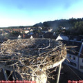 07_00-nest.jpg
