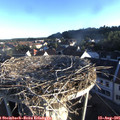 07_05-nest.jpg
