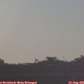 07_10-mast.jpg