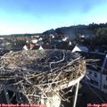 07_10-nest.jpg