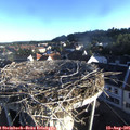 07_15-nest.jpg