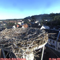 07_25-nest.jpg