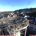 07_30-nest.jpg