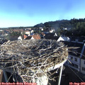 07_35-nest.jpg