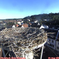 07_40-nest.jpg