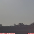 07_45-mast.jpg