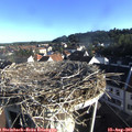 07_50-nest.jpg