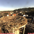 08_00-nest.jpg