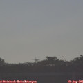 08_05-mast.jpg