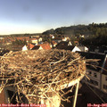 08_05-nest.jpg