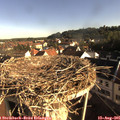 08_10-nest.jpg