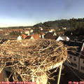 08_30-nest.jpg