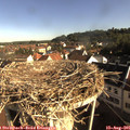 08_35-nest.jpg