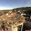08_40-nest.jpg