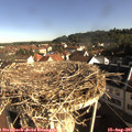 08_45-nest.jpg