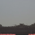08_50-mast.jpg