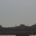 08_55-mast.jpg