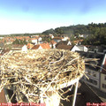08_55-nest.jpg