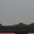 09_00-mast.jpg