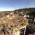 09_00-nest.jpg