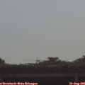 09_05-mast.jpg