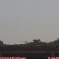 09_10-mast.jpg