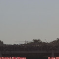 09_15-mast.jpg
