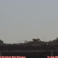 09_20-mast.jpg