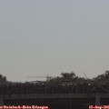 09_25-mast.jpg