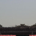 09_30-mast.jpg