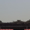 09_35-mast.jpg