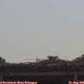 09_40-mast.jpg