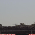 09_45-mast.jpg