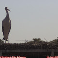 10_05-mast.jpg