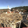 10_05-nest.jpg