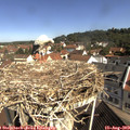 10_25-nest.jpg