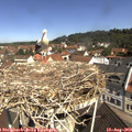 10_50-nest.jpg