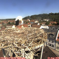 10_55-nest.jpg