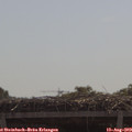 11_10-mast.jpg