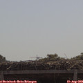 11_15-mast.jpg